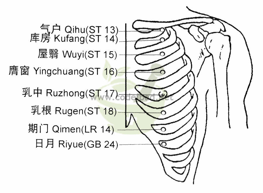 女性屋翳准确位置图图片