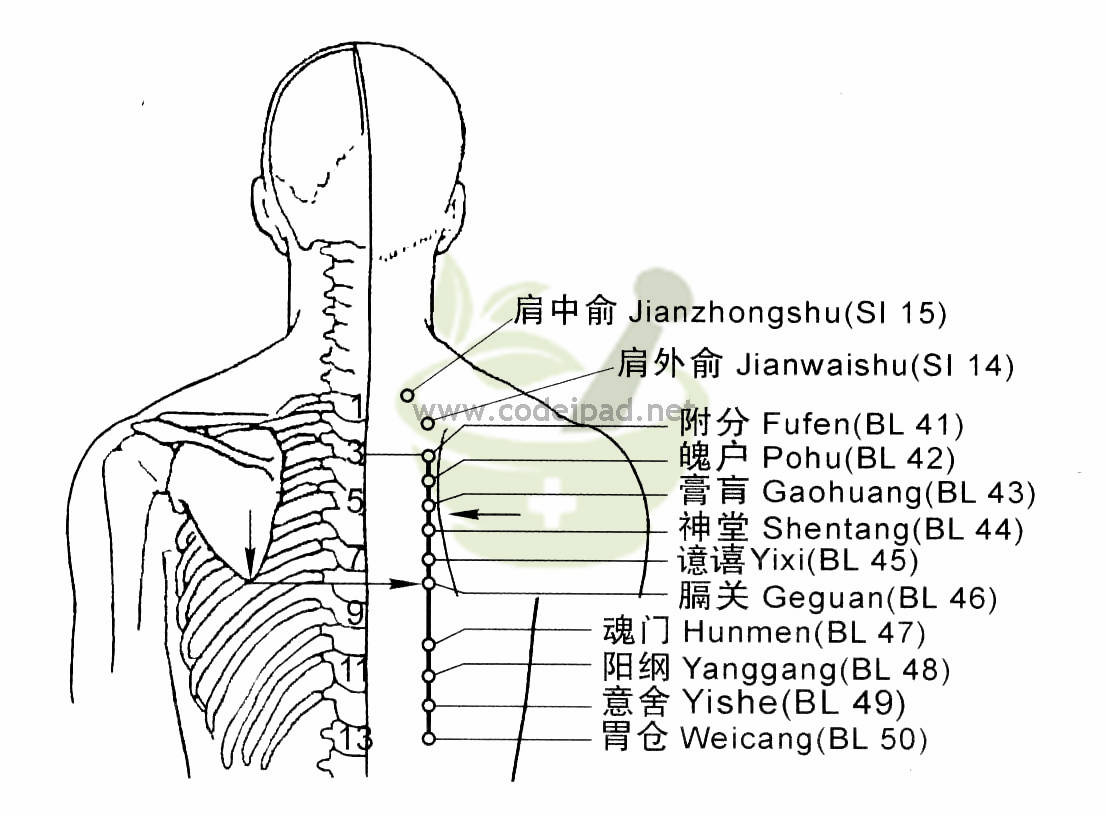 标准经穴部位图人体经络图挂图穴位图健康疗法挂图双面-阿里巴巴