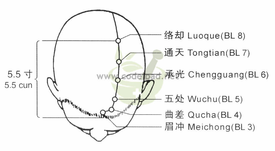 承光