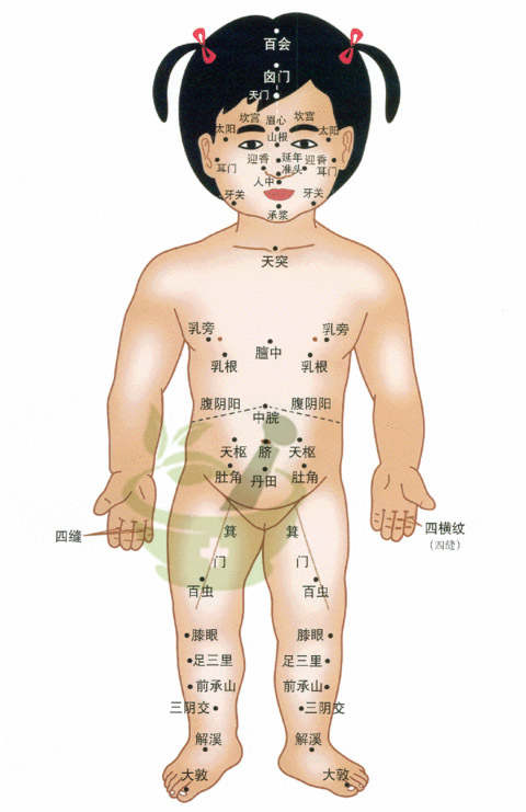 乳根