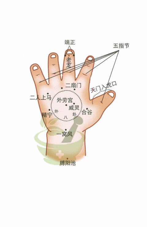一窝风